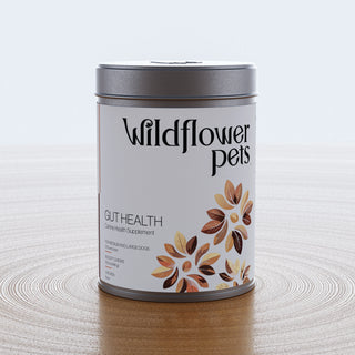 Wildflower Pets Gut Health Canine Health Supplement for Medium and Large Dogs