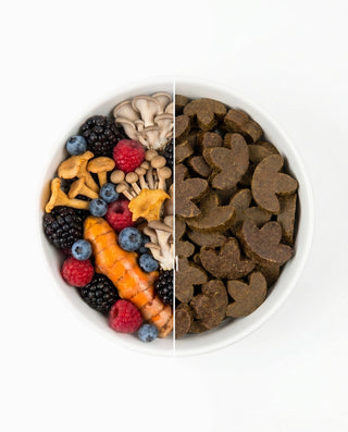Immune Support