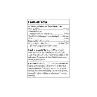 Gut Health for Small Dogs