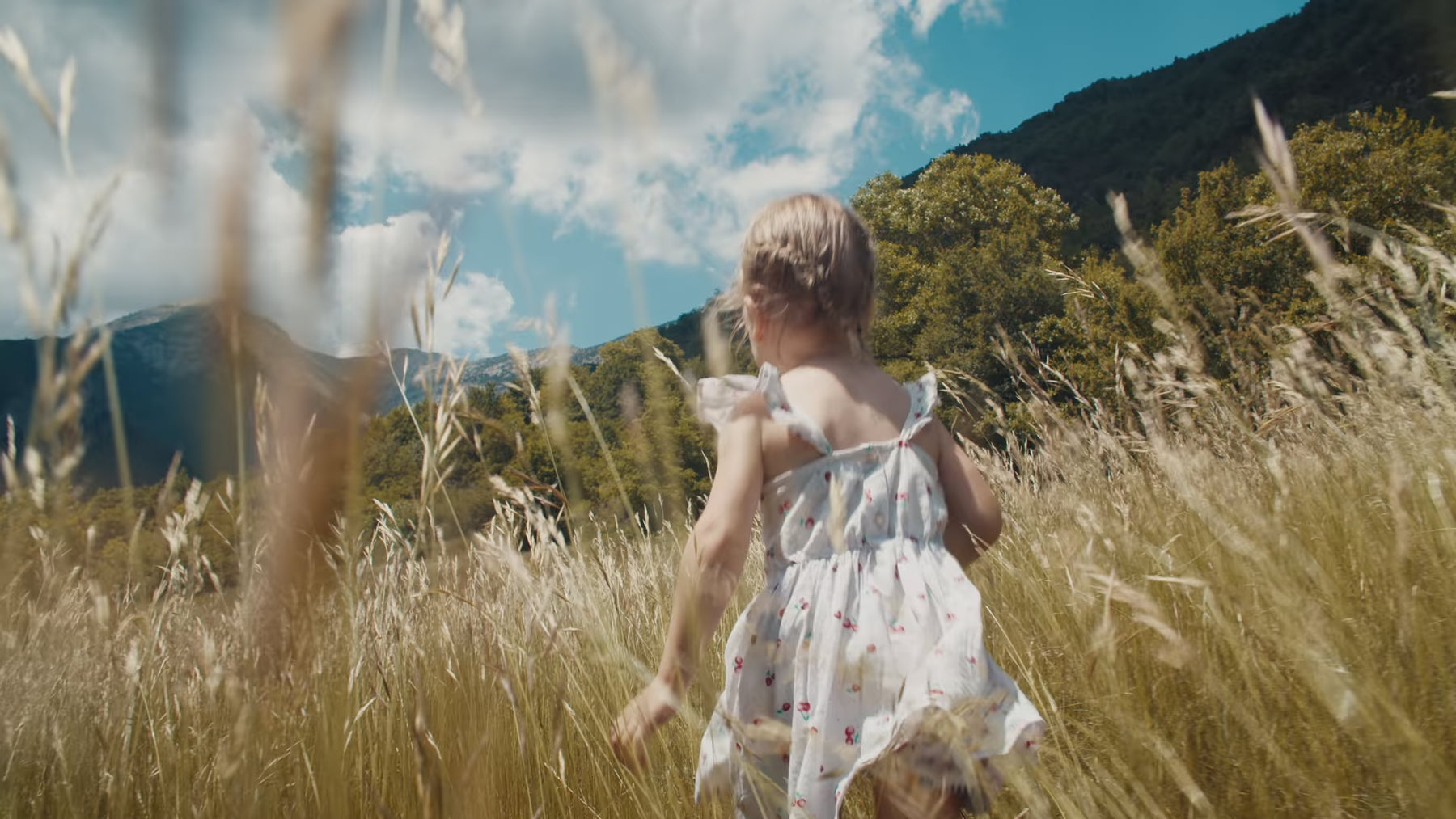 Toddler girl and Border Collie playing in tall grass with mountains in background